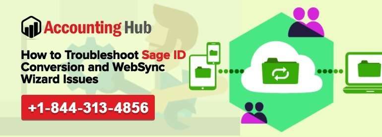 Sage ID Conversion and WebSync Wizard Issues