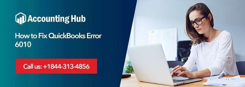 QuickBooks Error 6010